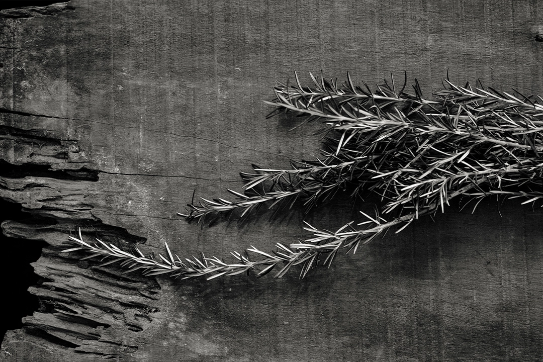 Ingrediente comum na slow food